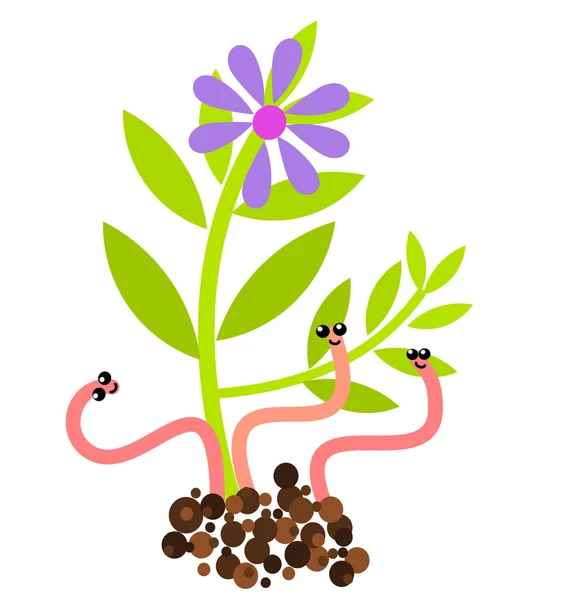 Worms and flower — Stock Illustration Worms and flower Stock Vector