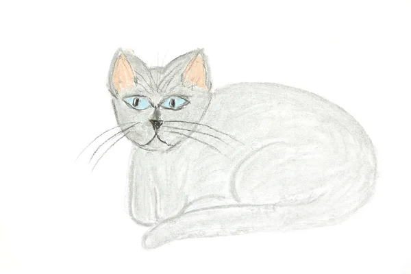 Disegno grigio del gatto — Foto Stock