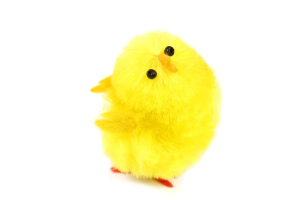 Chick over white — Stock Photo, Image