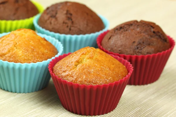 Chocolate and bright cupcakes — Stock Photo, Image