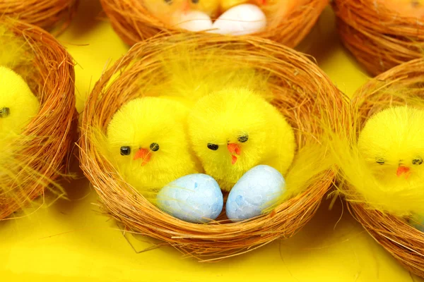 Hühner auf Eiern — Stockfoto