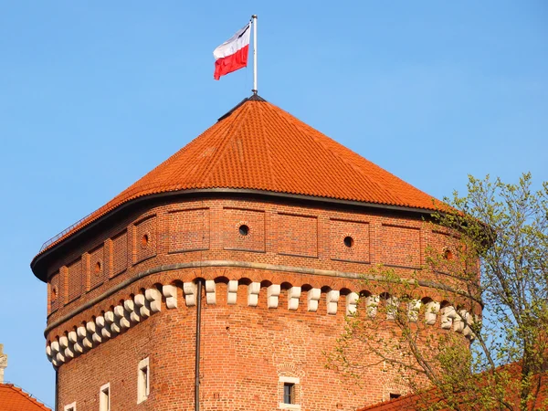 Wawel tower — Stock Photo, Image