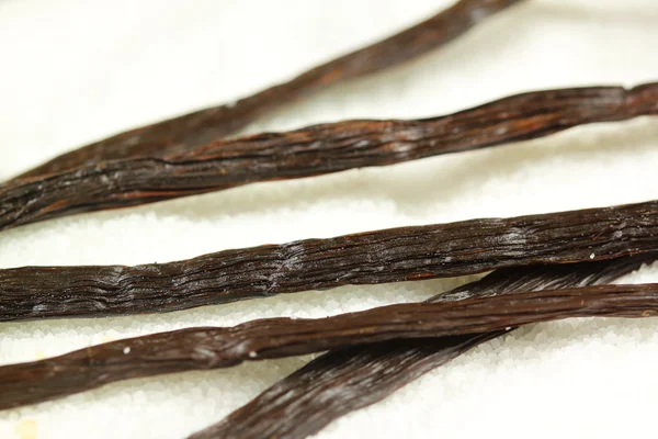 Vanilla in sugar — Stock Photo, Image