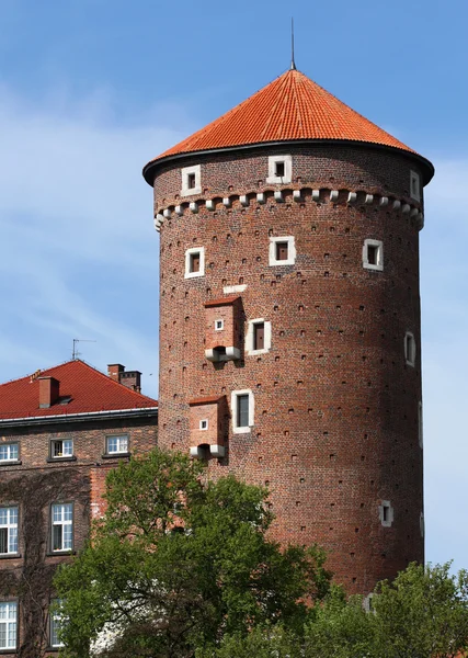 Wawel — Stockfoto