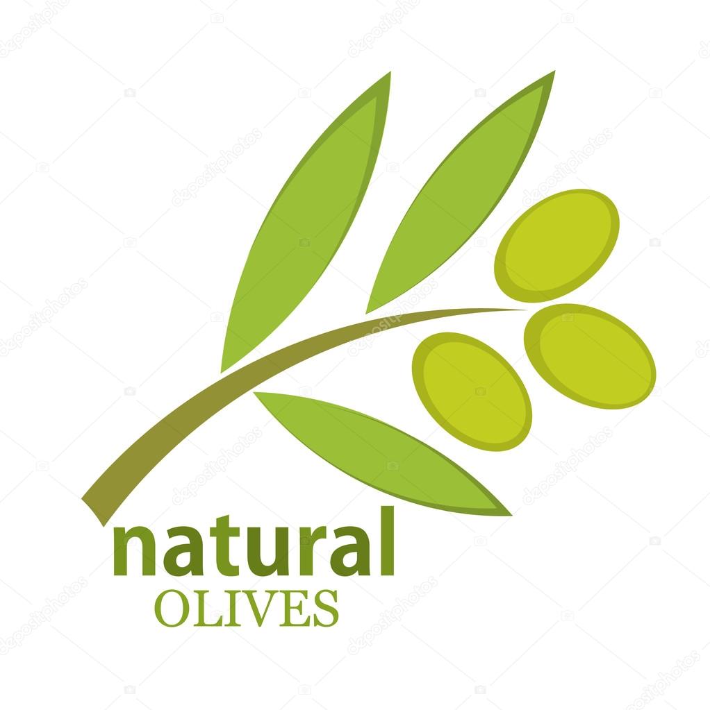 Olive branch logo. Vector illustration