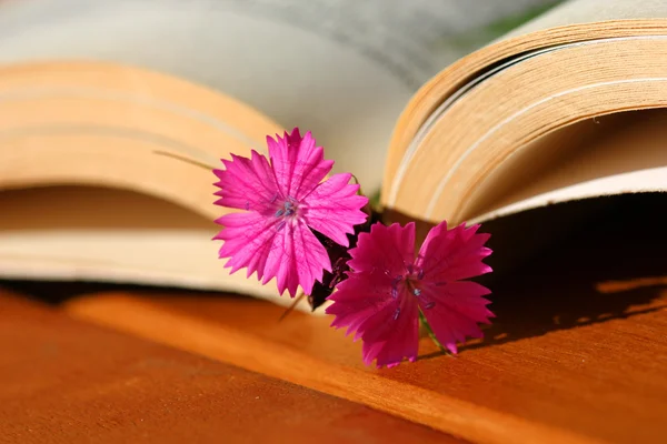 Flower bookmark — Stock Photo, Image