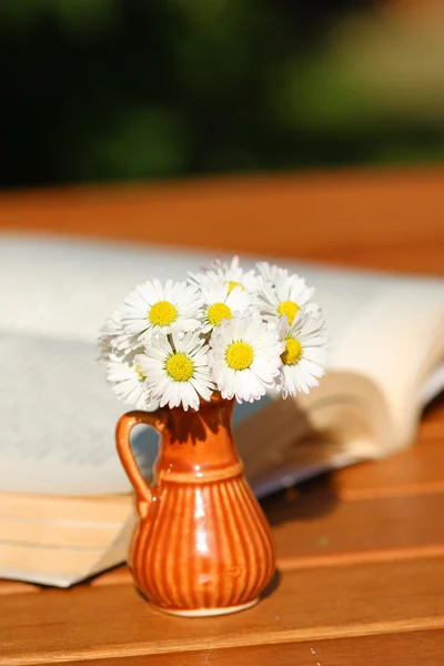Daisies and book — Stock Photo, Image