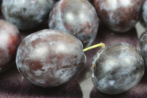 Closeup of plums — Stock Photo, Image