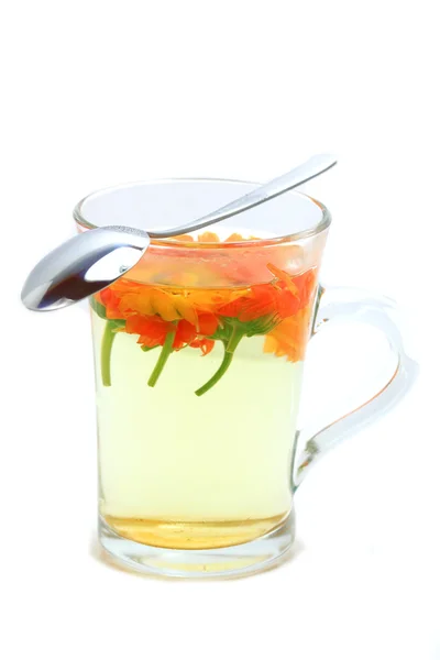 Marigold tea isolated — Stock Photo, Image