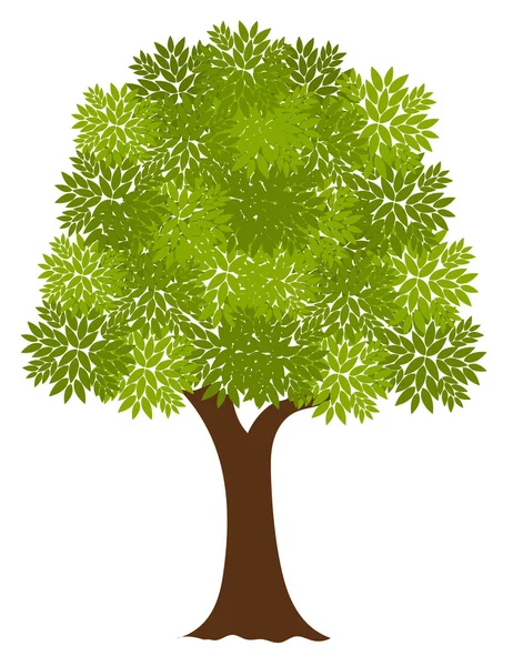 Noble tree — Stock Vector