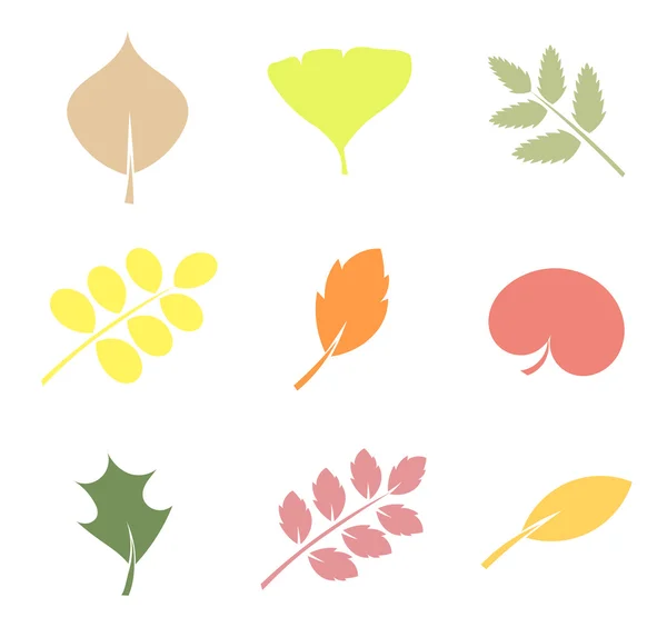 Leaves illustration — Stock Vector