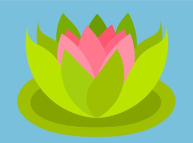 Nilüfer çiçeği yüzüyor