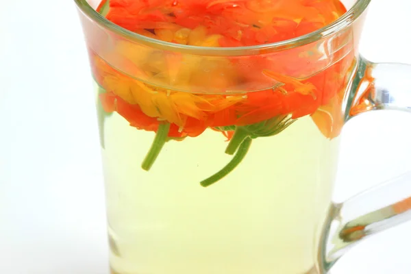 Marigold flower tea — Stock Photo, Image