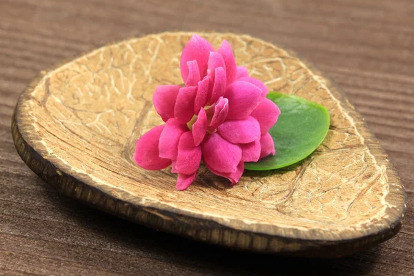 Spa with Kalanchoe flower — Stock Photo, Image