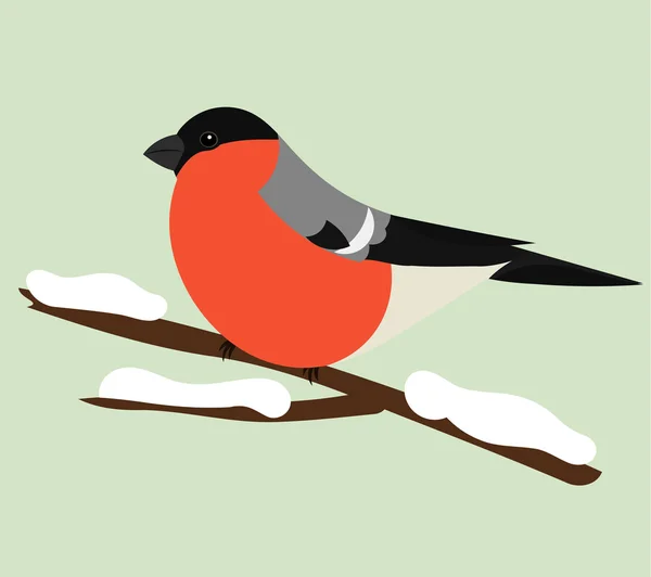 Bullfinch — Stockový vektor