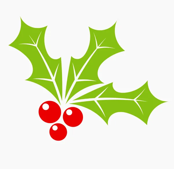 Christmas holly berry — Stockový vektor