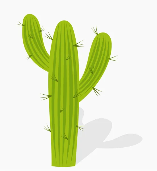 Ilustración de cactus — Vector de stock