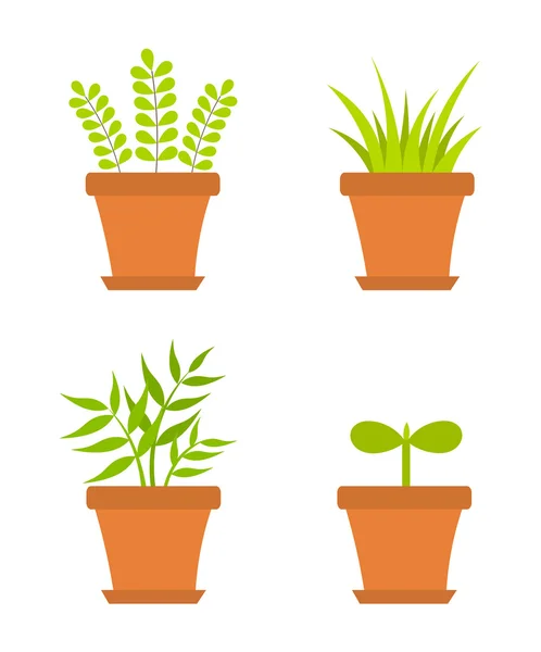 Plantas de vaso —  Vetores de Stock