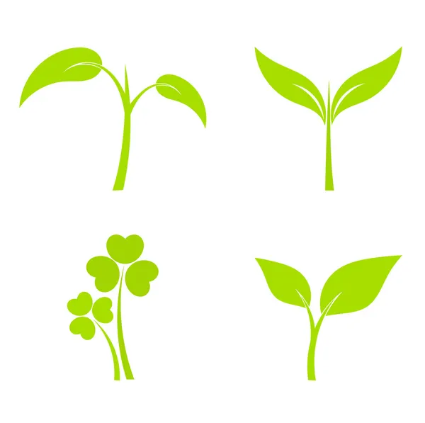 Iconos vegetales — Vector de stock