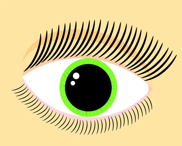 Grön kvinna öga — Stock vektor