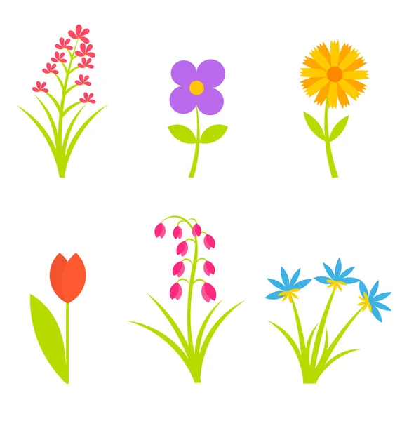 Blommor samling — Stock vektor