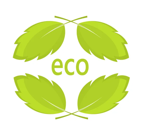 Eco φύλλα — Διανυσματικό Αρχείο