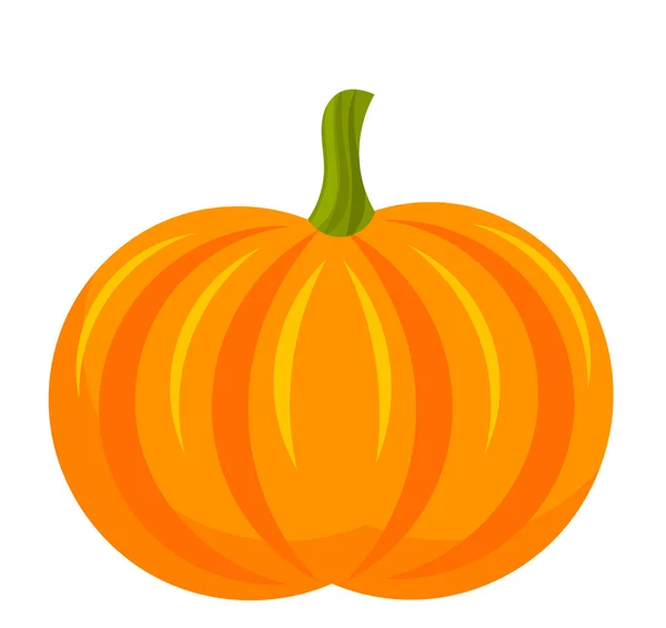 Fruta de calabaza — Vector de stock