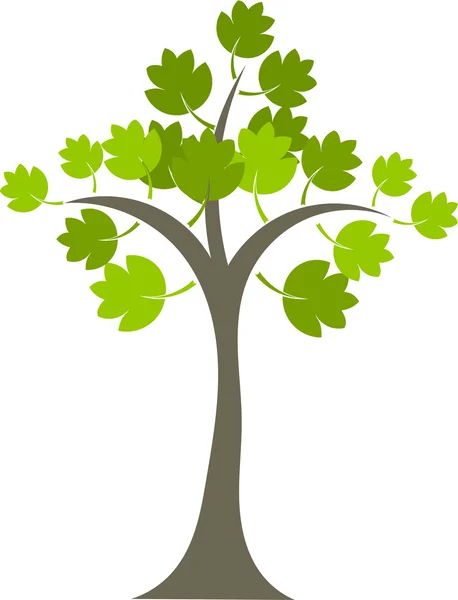 Árbol de arce — Vector de stock