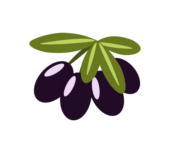 Bouquet d'olives — Image vectorielle