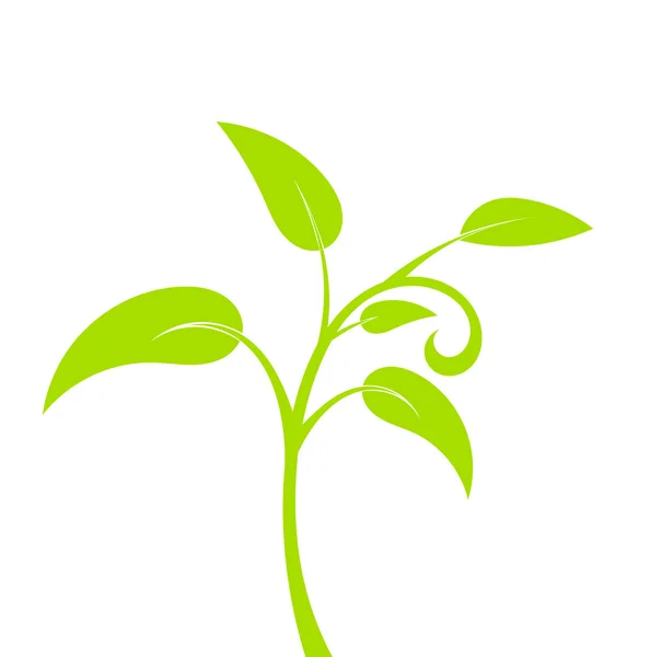 Planta verde — Vetor de Stock