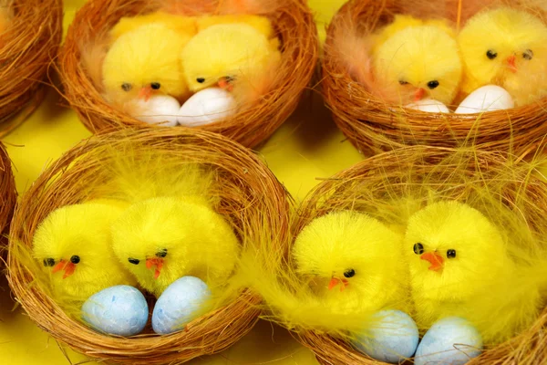 Easter chicks — Stock Photo, Image