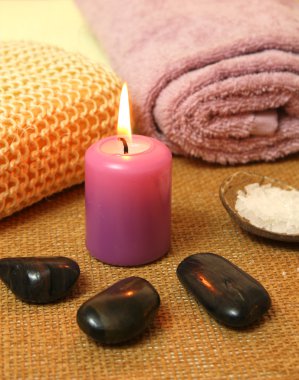 spa terapisi