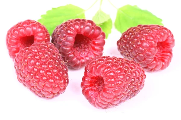 Himbeeren — Stockfoto