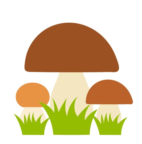 Boletus mushrooms — Stock Vector