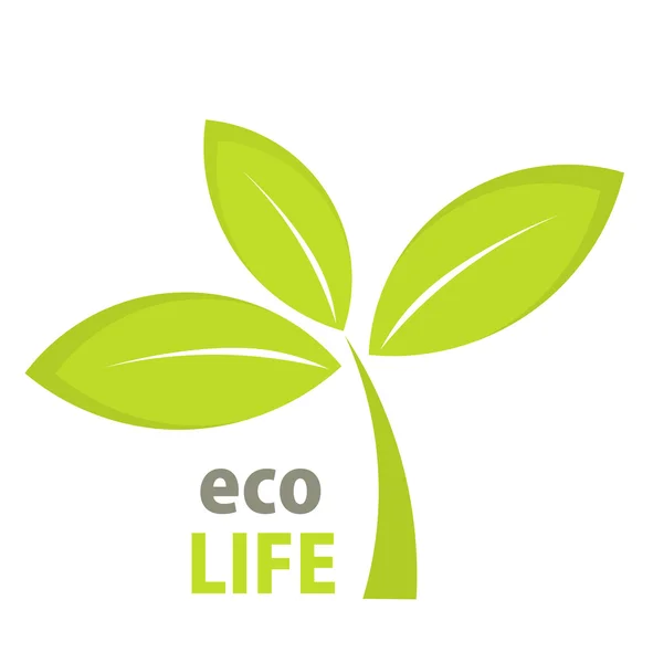 Eco život list — Stockový vektor