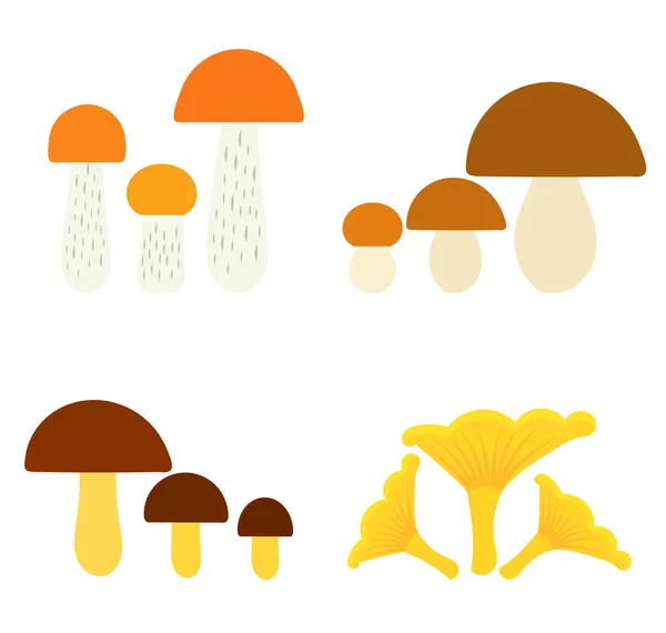 Mushrooms collection — Stock Vector