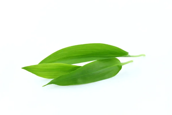 Bear garlic — Stock Photo, Image