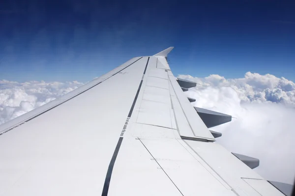 Airplane flight — Stock Photo, Image