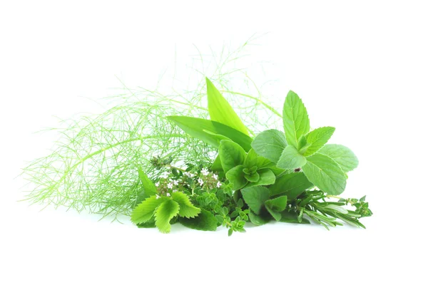 Fresh herbs — Stock Photo, Image