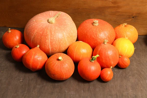 Citrouilles — Photo