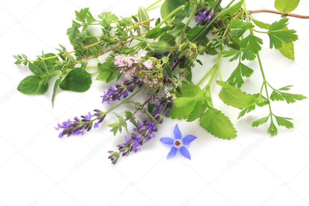 Aromatic fresh herbs
