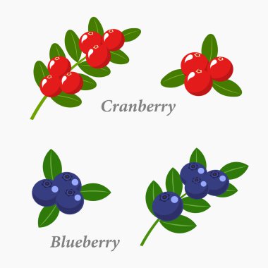 Berry meyve