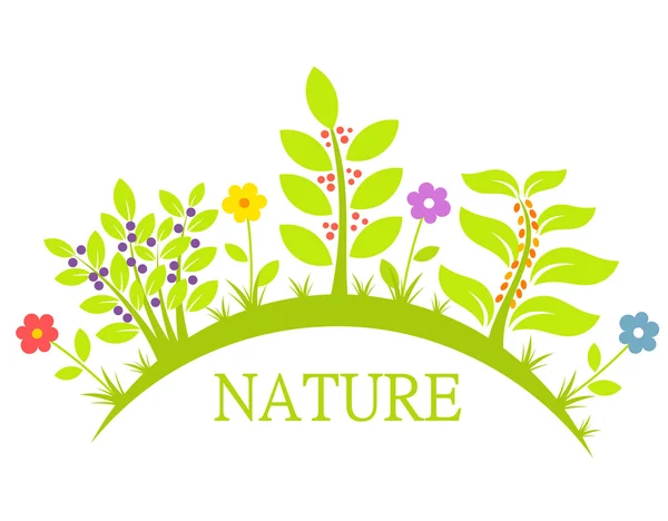 Naturaleza flores y plantas — Vector de stock