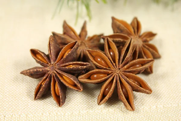 Star anise — Stock Photo, Image