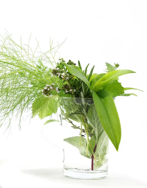 Świeże zioła — Zdjęcie stockowe
