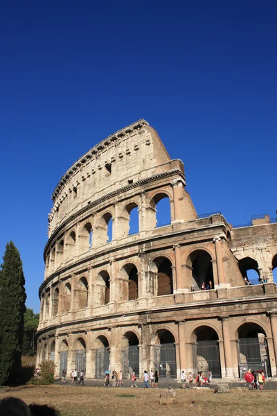 Colosseo a Roma — Foto Stock