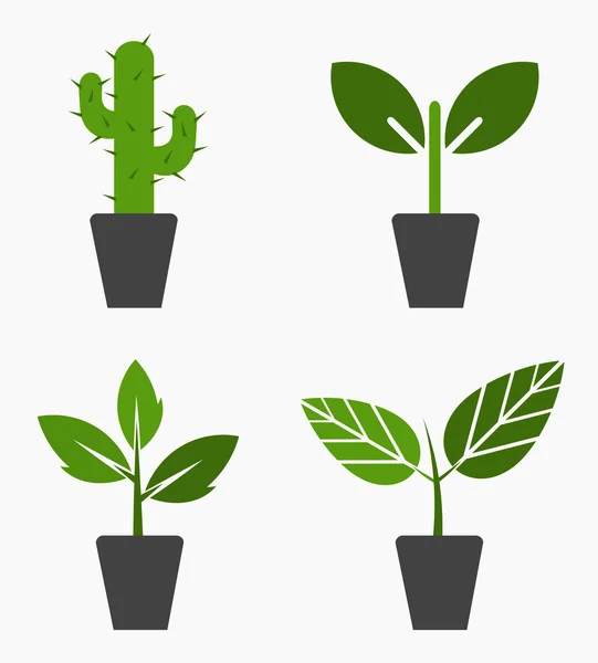 Plants in pots — Stock Vector