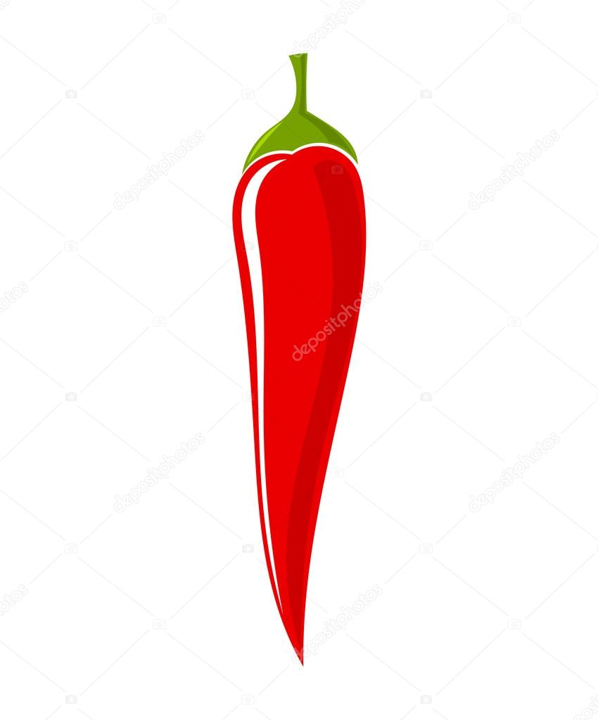 Chili pepper vector