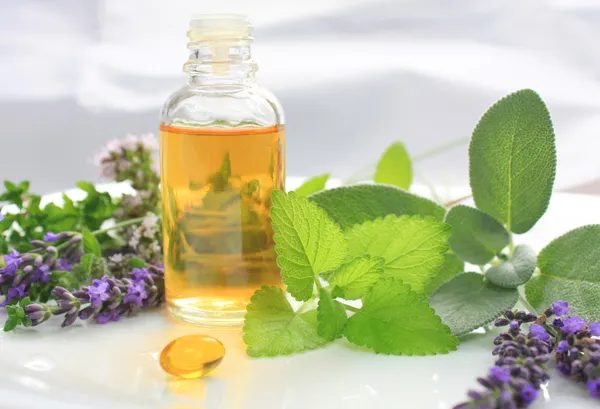 Fresh herbs and oil — Stock Photo, Image