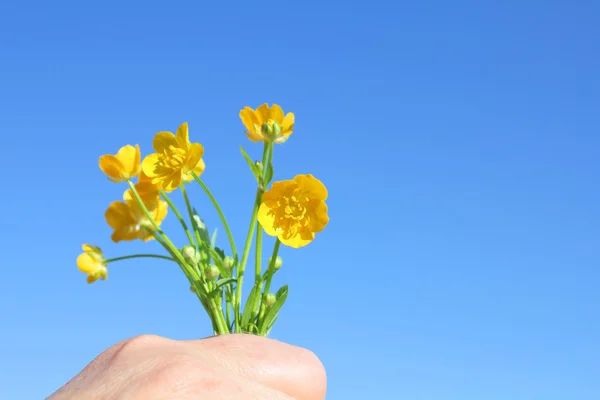 Bouquet of flowers — Stock Photo, Image